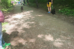 IMG-20230529-WA0043