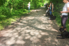 IMG-20230529-WA0045