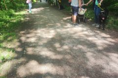 IMG-20230529-WA0047