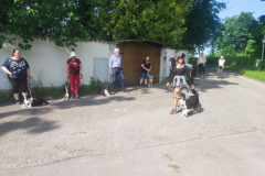 IMG-20230529-WA0061