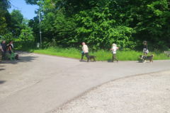 IMG-20230529-WA0064