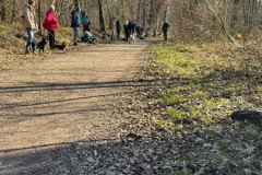 SocialWalk-Bild-2025-02-22-um-15.45.08_2a3d6536