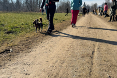 SocialWalk-Bild-2025-02-22-um-15.45.09_b7b1d199