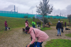 Socialwalk-Bild-2024-10-05-um-12.23.39_af1cc8b2