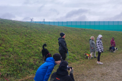 Socialwalk-Bild-2024-10-05-um-12.23.40_174ae8d4