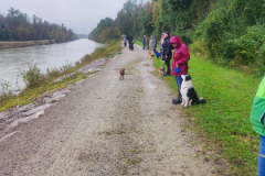 Socialwalk-Bild-2024-10-05-um-12.23.40_38829c16