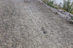 Socialwalk-Bild-2024-10-05-um-12.23.40_6b5fbd36