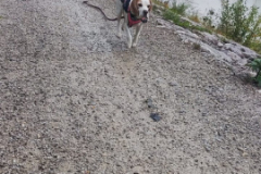 Socialwalk-Bild-2024-10-05-um-12.23.40_80db7e7b