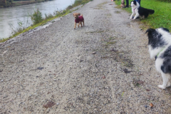 Socialwalk-Bild-2024-10-05-um-12.23.40_9a5fabcc