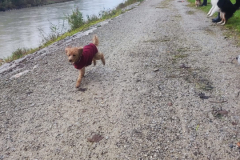 Socialwalk-Bild-2024-10-05-um-12.23.40_9ed0b105