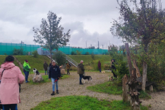Socialwalk-Bild-2024-10-05-um-12.23.40_f0e95d44