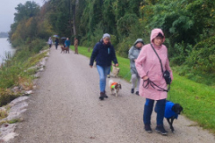 Socialwalk-Bild-2024-10-05-um-12.23.41_41920789