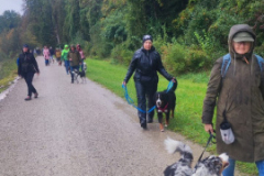 Socialwalk-Bild-2024-10-05-um-12.23.41_ae1f9635