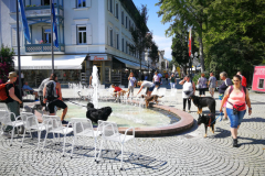 IMG_20200801_104231-scaled