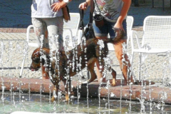 IMG_20200801_104257-scaled