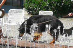 IMG_20200801_104302-scaled