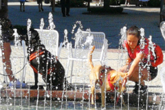 IMG_20200801_104348-scaled