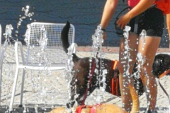 IMG_20200801_104416-scaled