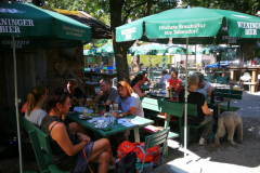 IMG_20200801_111358-scaled