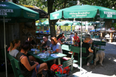 IMG_20200801_111400-scaled