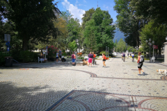 IMG_20200801_123254-scaled