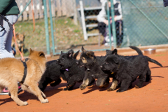 IMG-20240304-WA0039