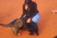 Welpen-Bild-2025-03-22-um-10.17.54_1d5310ec