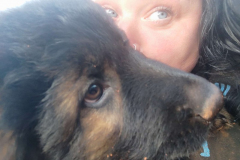 Welpen-Bild-2025-03-22-um-10.17.55_31619196