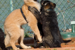 WhatsApp-Bild-2024-03-02-um-20.40.15_20700942