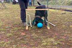 IMG-20241213-WA0009