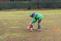 IMG-20241213-WA0014