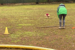 IMG-20241213-WA0015