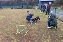 IMG-20241213-WA0016