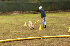 IMG-20241213-WA0017