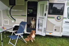 Hundekutsche_4