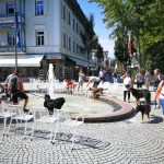 Stadtspaziergang: Hunde am Brunnen Bad Reichenhall